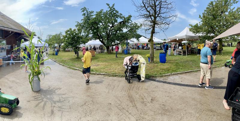 Panorama foto van het boerenerf onder een blauwe hemel.